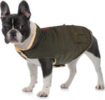 Queenmore dog jacket showing leash hole feature