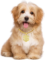 FUNKA Gold Chain Dog Collar packaged as a stylish pet fashion accessory gift.