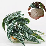 Weighted base of Keruideng terrarium plant for stability