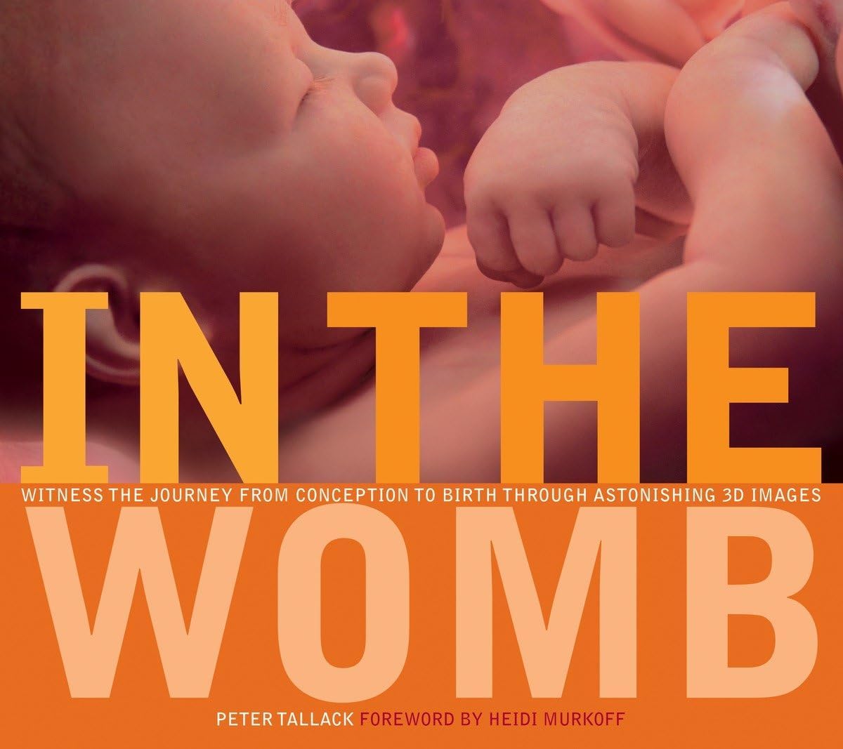 In the Womb: Witness the Journey from Conception to Birth through Astonishing 3D Images - Image 1