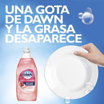 Dawn dishwashing liquid cap and dispensing spout close-up