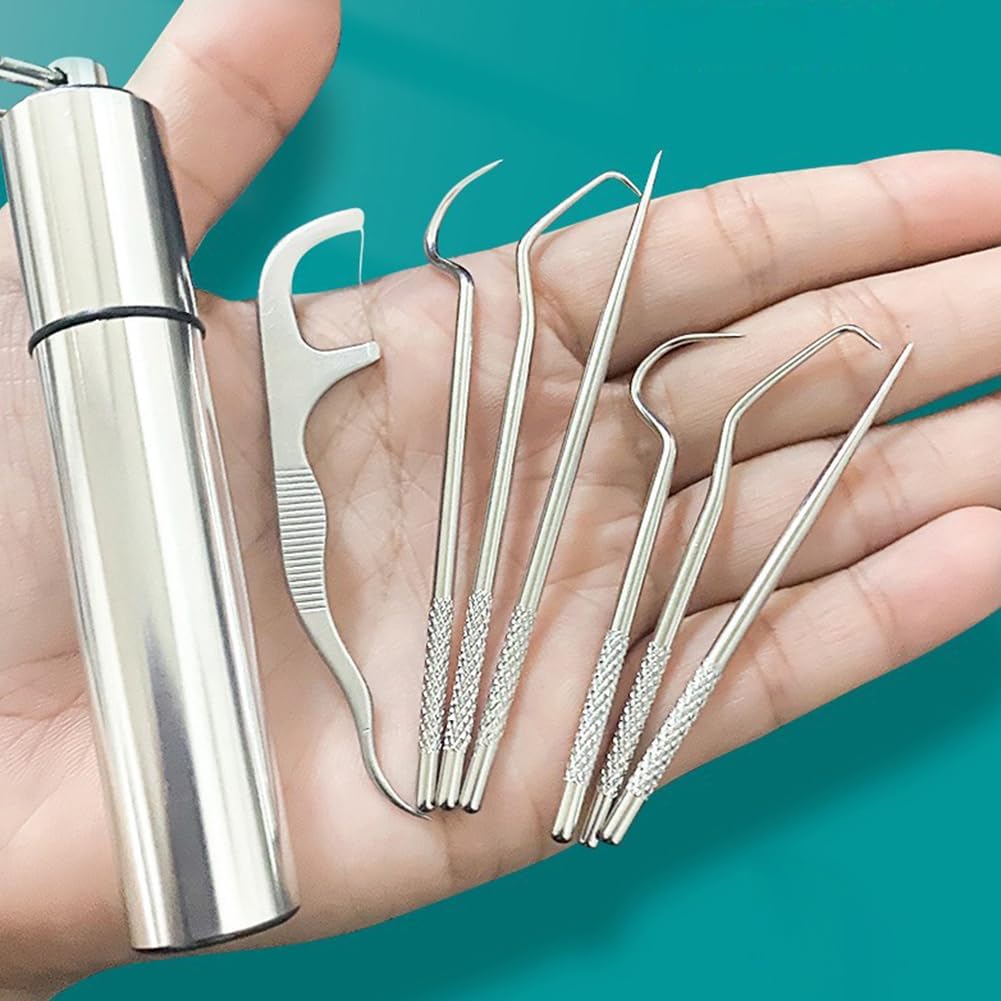 Hoedia stainless steel toothpicks pocket set front view showcasing the metallic storage tube with keychain loop