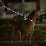 Hyhug reflective nylon dog collar laid flat showing full length