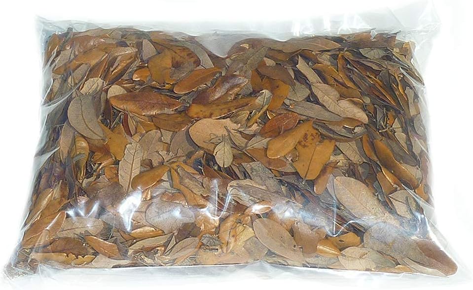 Close up view of heat treated chemical free reptile leaf litter shelter for amphibians