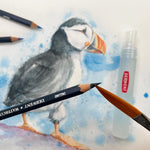Derwent coloured pencils hexagonal barrel detail