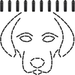 Frienda protective collar caps highlighting the professional grade materials preferred by pet trainers.