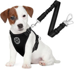 SlowTon Dog Seat Belt Harness for Car, Dog Car Harness & Seatbelt, GY XXS | Adjustable Mesh Breathable Harness & Dog Seatbelt Safety Tether with Elastic Bungee & Double Clips for Small Medium Large Pet - Image 15