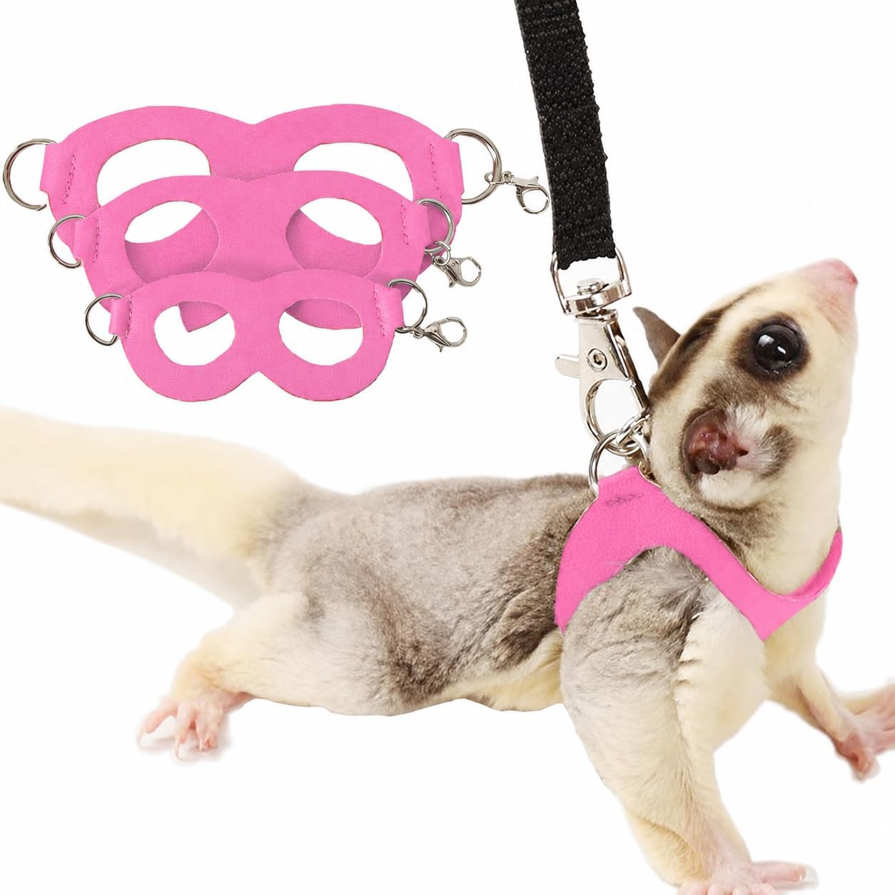 Meow and Woof 3 Pack Sugar Glider Harness and Leash Set front view
