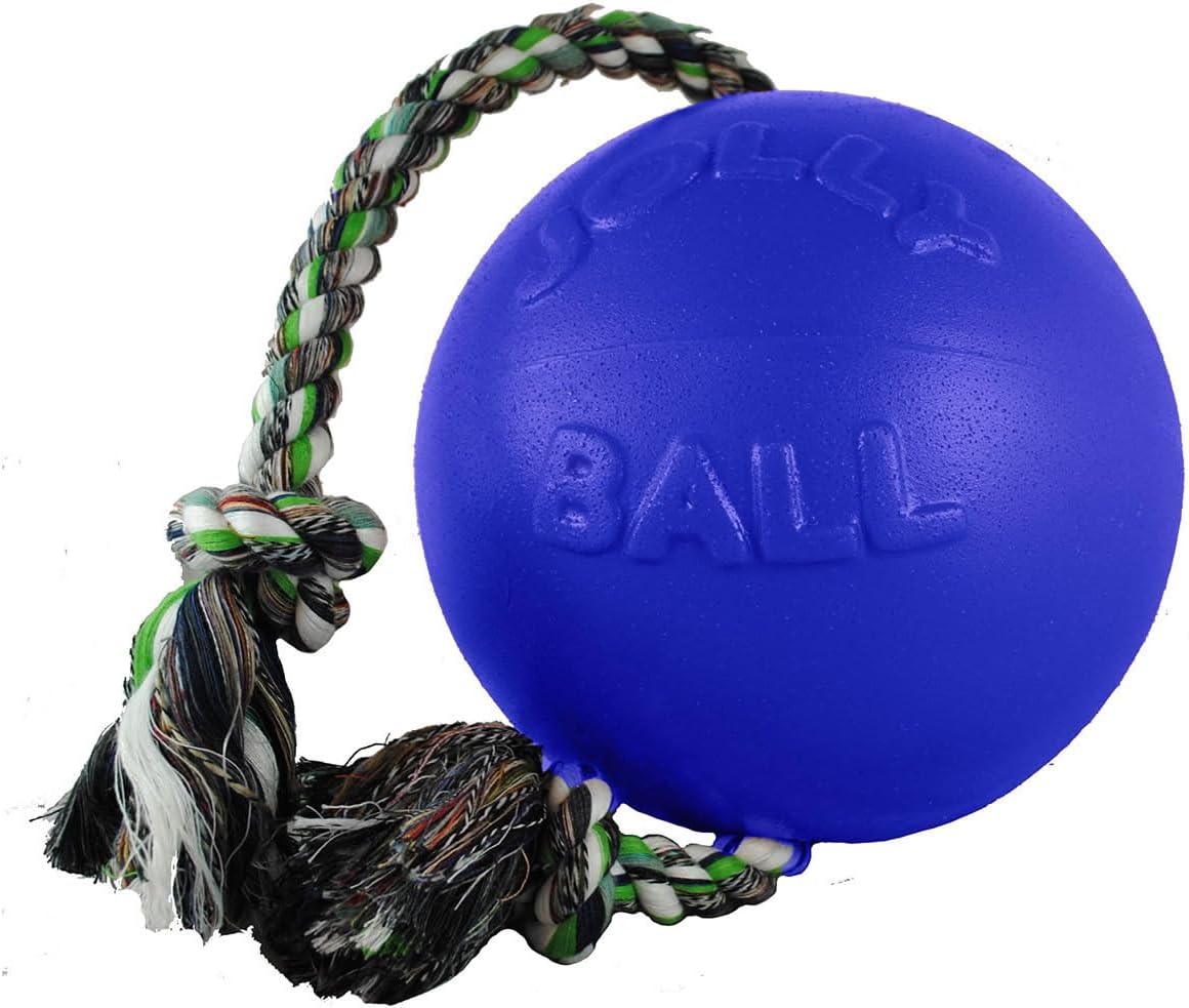 Durable dog toy for tug-of-war and fetch play