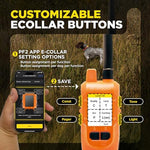 Dogtra Pathfinder2 Mini tracking receiver collar laid flat showcasing the sturdy adjustable strap.
