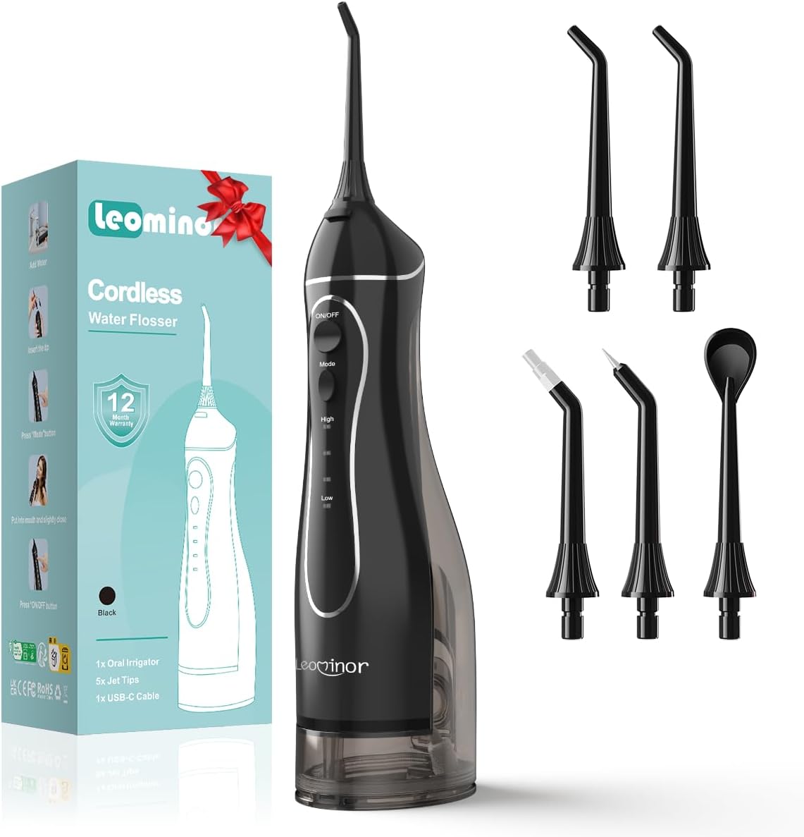 Leominor Water Flosser Pick front view professional oral irrigator