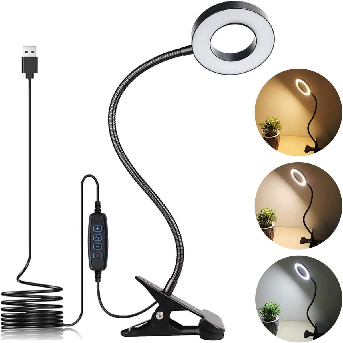 LuxLumin LED desk lamp with clamp front view highlighting the black circular ring light head