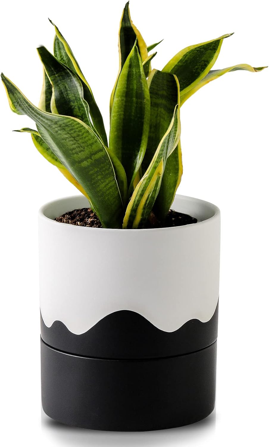 Nihow Ceramic Self Watering Plant Pot for Indoor Plants,6 Inch,Black White | Planter with Cotton Wick, Drainage Hole & Water Storage Plus, Cylinder Round Flower Pot, For Succulent/Herbs/Violets - Image 11