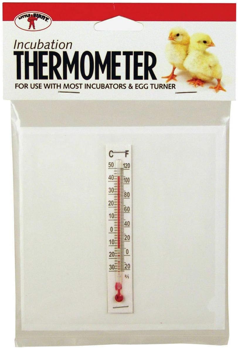 Little Giant incubator thermometer kit front view for egg hatching