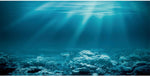 AWERT Undersea Theme Aquarium Background front view showing vivid sunshine underwater world fish tank scenery.