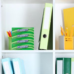 Freedent peppermint chewing gum 15 stick Plen-T-Pak tray view