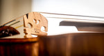 Viotti violin bridge grain pattern and wood texture detail