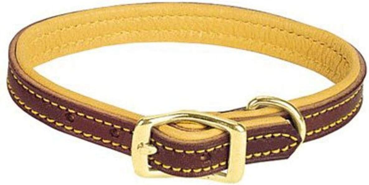 Weaver Pet puppy collar highlighting brass hardware and buckle
