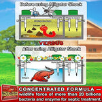 Alligator Shock bio active organic powder for septic tank maintenance