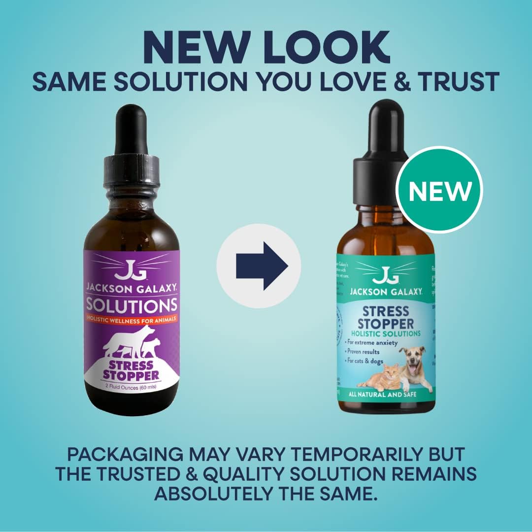 Jackson Galaxy pet calming essence dropper application for dominant cats and dogs