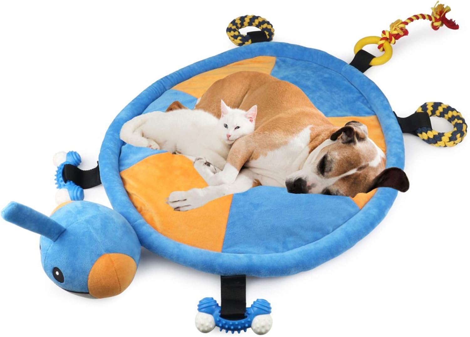 Idepet dog play mat front view turtle design