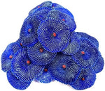 OrgMemory fish cave hideout decoration set with realistic starfish replica piece