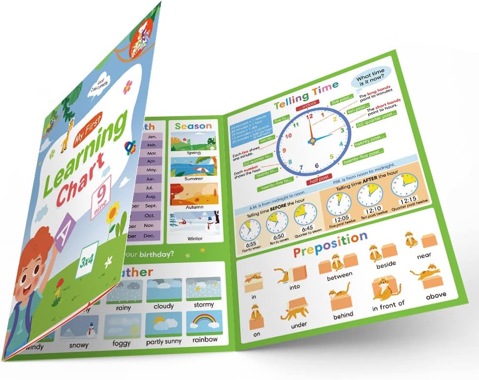 Lachilly educational poster unfolded view showing all side panels