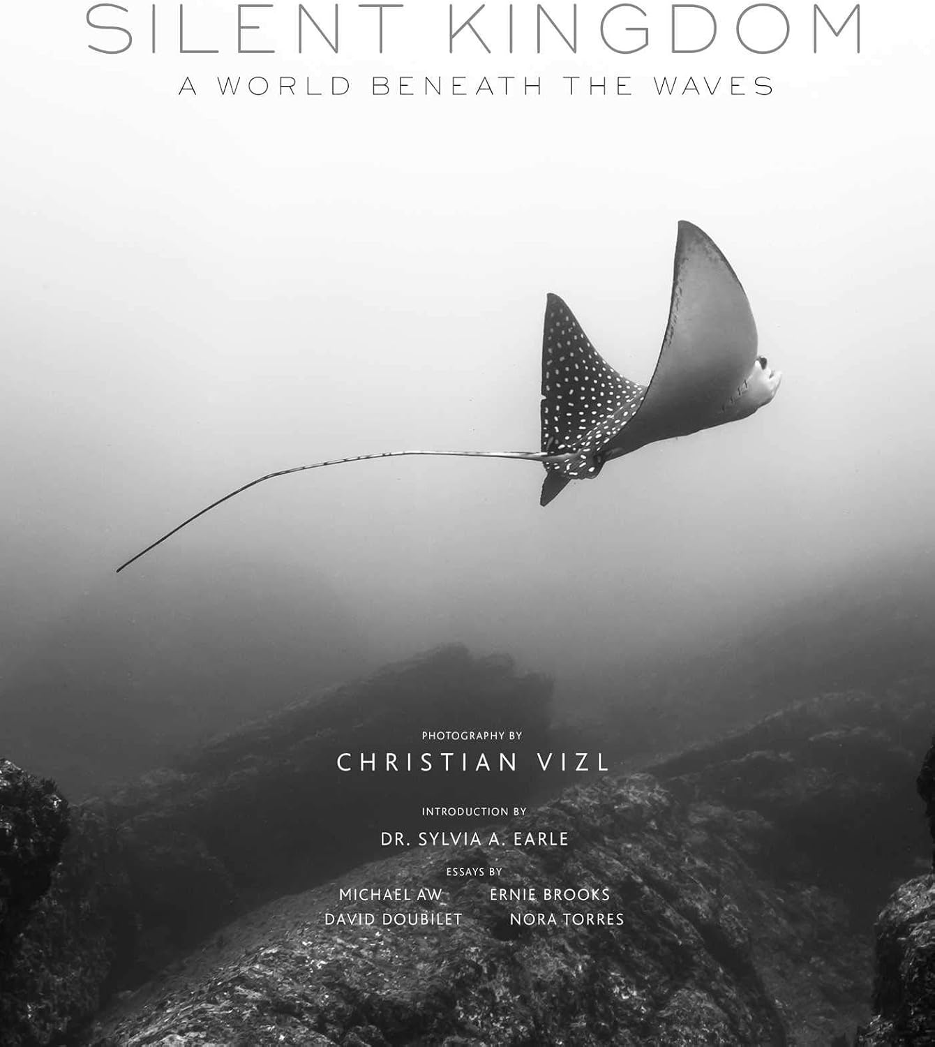 Silent Kingdom: A World Beneath the Waves - Image 1