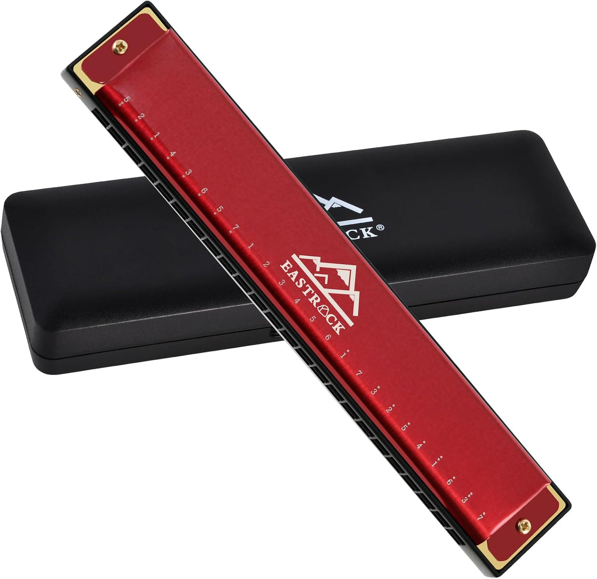 Musician holding the EastRock C key harmonica during a practice session.