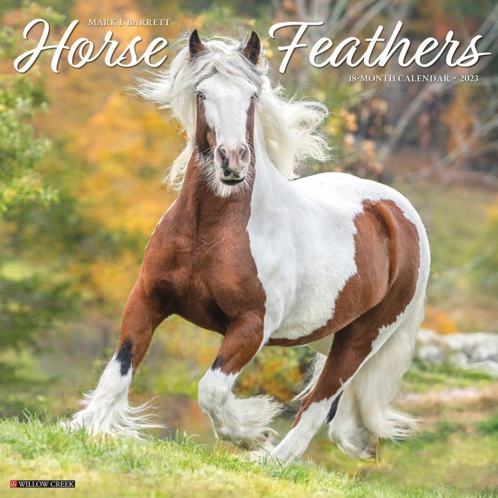 Horse Feathers 2023 Wall Calendar - Image 1