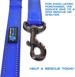 Max and Neo leash metal clasp detail