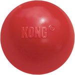 Kong durable dog toy next to a treat for scale
