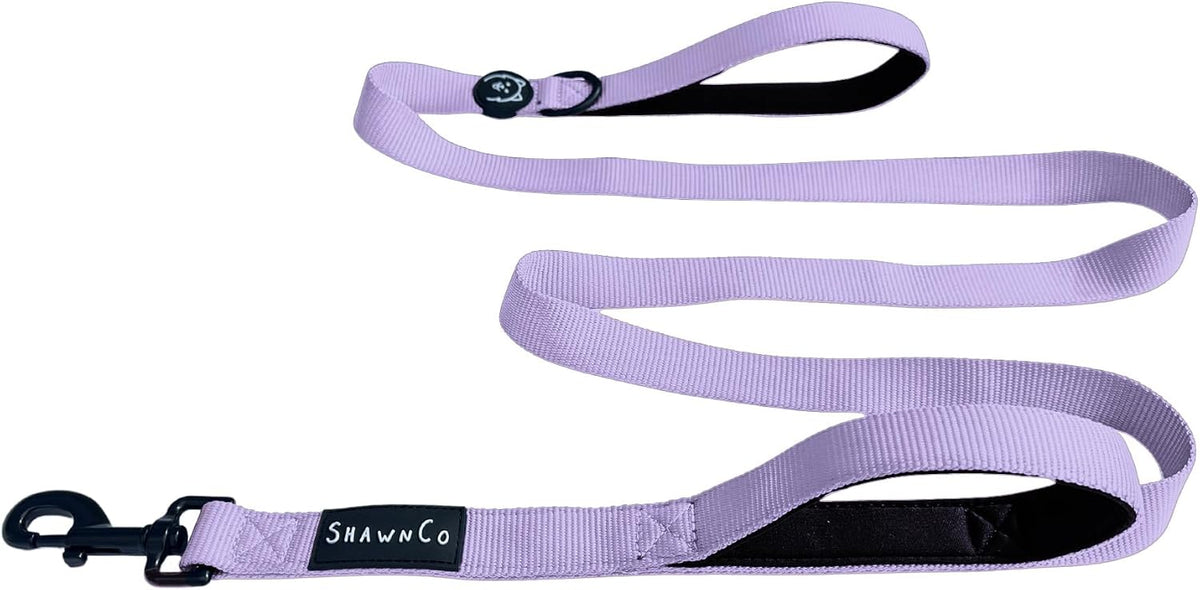 ShawnCo Dream Walk Dog Leash front view premium nylon pet leash