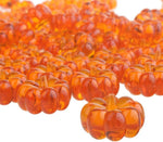 PMLAND season autumn series mini corn close up