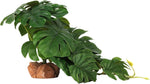 Woledoe artificial monstera plant for reptile tank front view