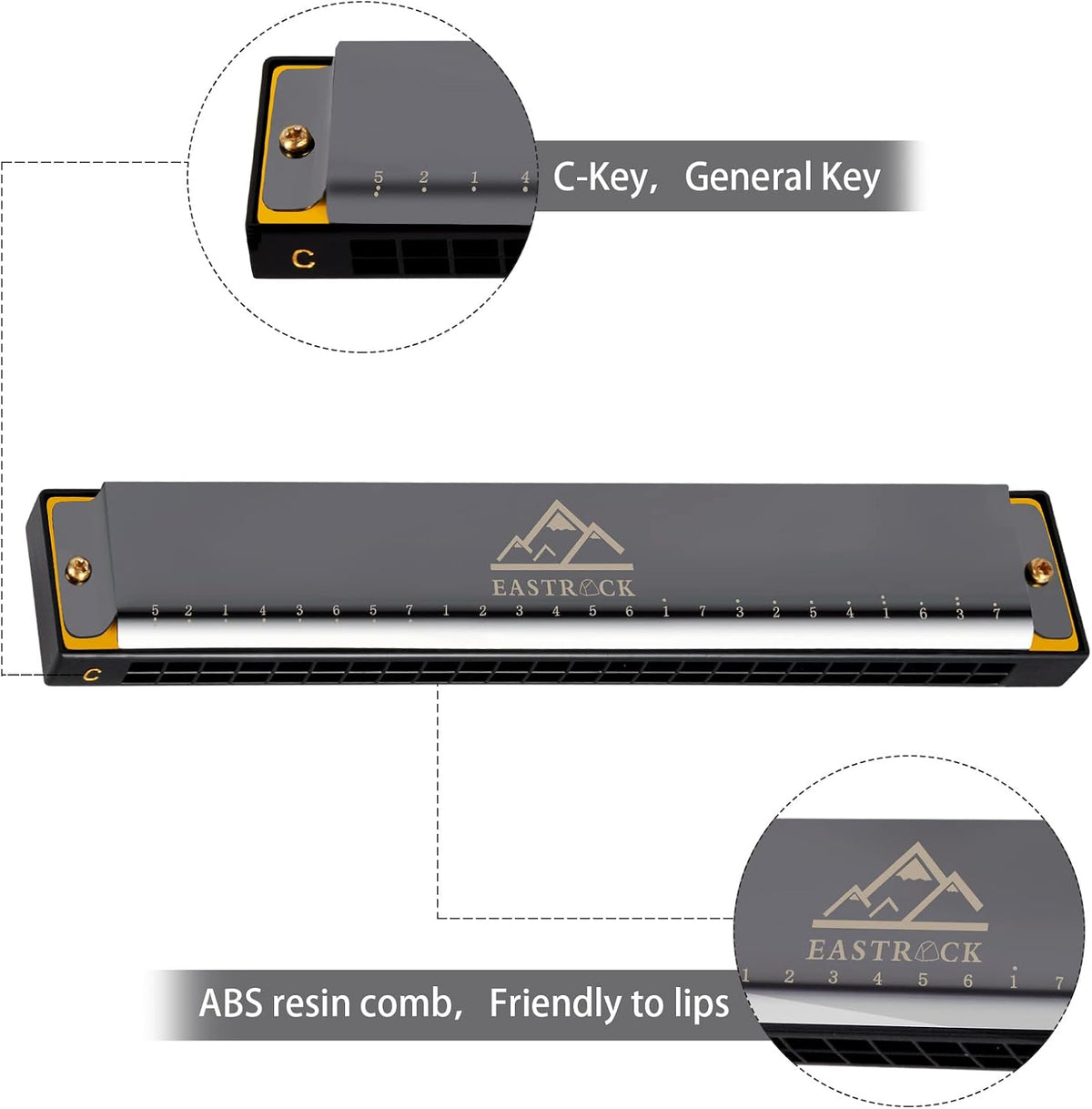 EastRock diatonic harmonica showing the protective black carrying case.