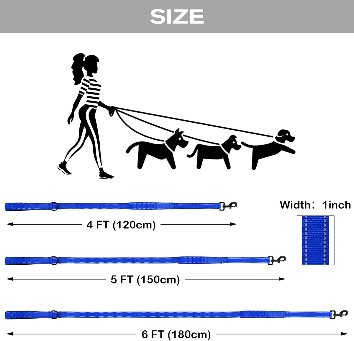 Joytale pet leash accessory D-ring view