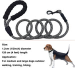 MayPaw braided nylon dog lead in use outdoors
