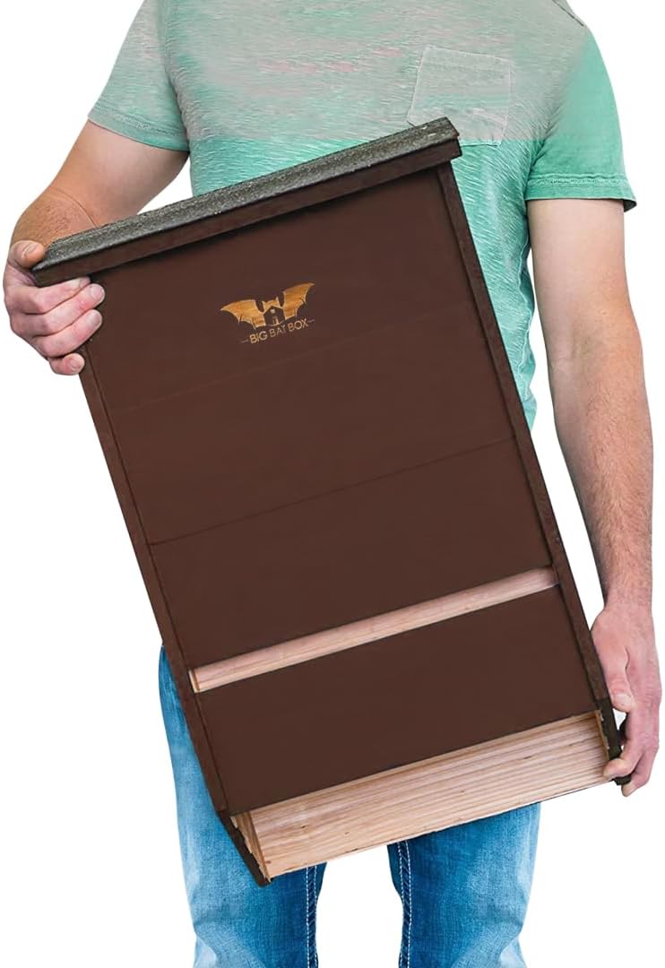 BIGBATBOX Bat House for Outdoors - 1 Chamber, No Interior Paint, Cedar | Single-chamber bat house holds 30+ bats, unpainted interior for roosting, easy-hang design for mosquito control. - Image 11
