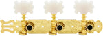 Tenor Guitar Place DJ312G classical guitar tuners front view with gold finish