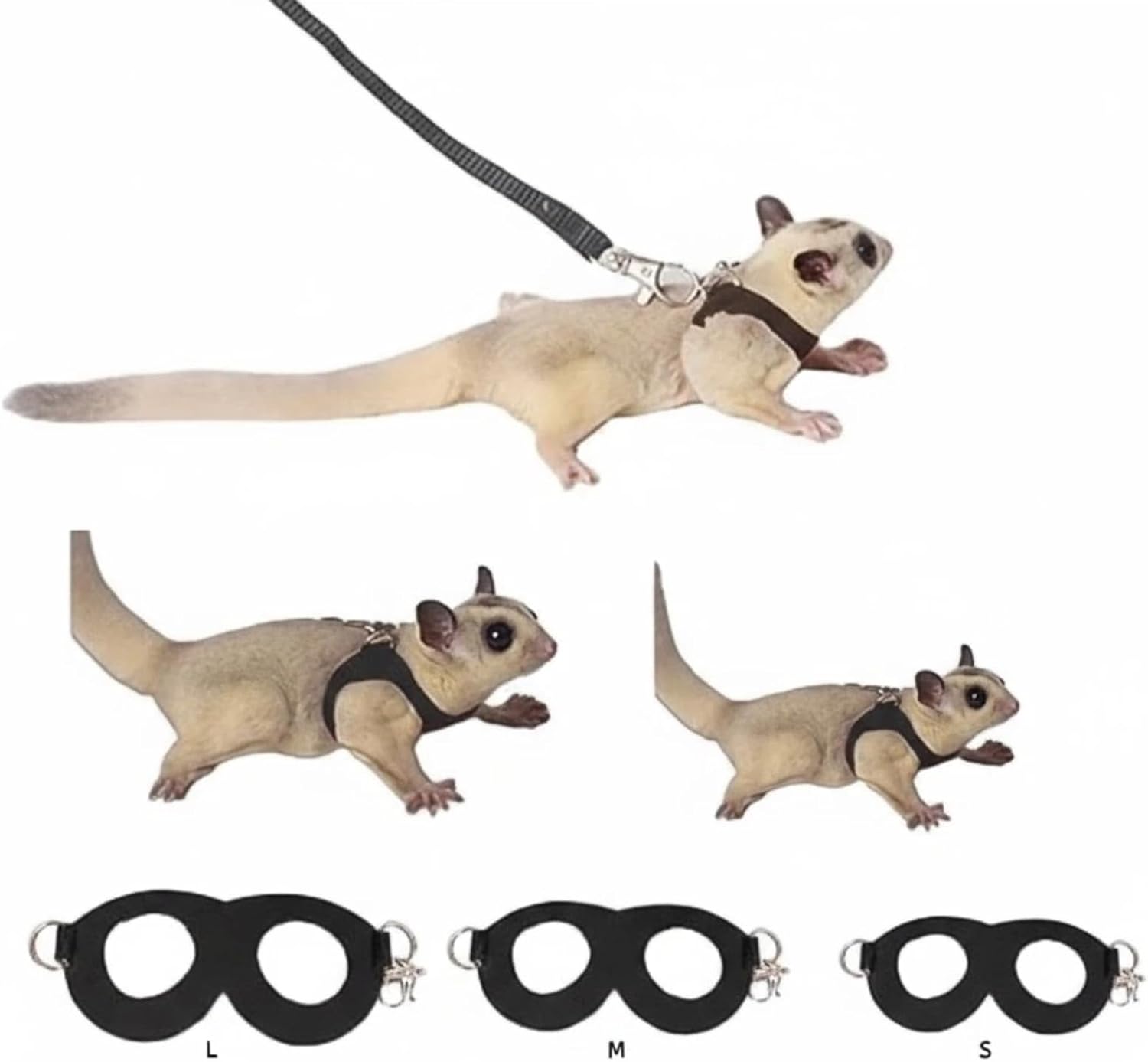 Manon Rosa sugar glider harness and leash set black front view