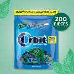 Orbit Peppermint Spearmint Wintermint assorted gum pieces close up