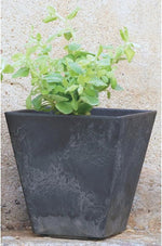 Root and Vessel modern planter styled in indoor room setting