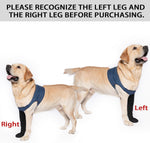 Coodeo protective dog sock adjustable strap detail