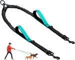 LEOSASA no pull double leash package overview for medium large dogs