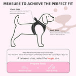 PUPTECK dog harness collar and leash set laid out flat