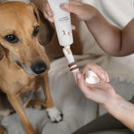 Close up of LILA LOVES IT dog toothpaste packaging