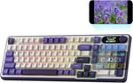 RK Royal Kludge S98 mechanical keyboard front view with RGB lighting