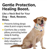 LovinPet protective pet cushion collar showing adjustable strap design.