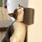 Yuntop cat scratcher showing disassembled base and brush for easy cleaning